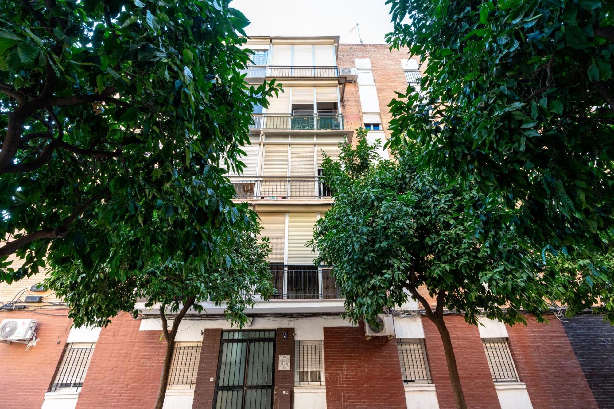 Piso Elegante Y Nuevo De 3 Habitaciones Y 2 Banos Séville Extérieur photo
